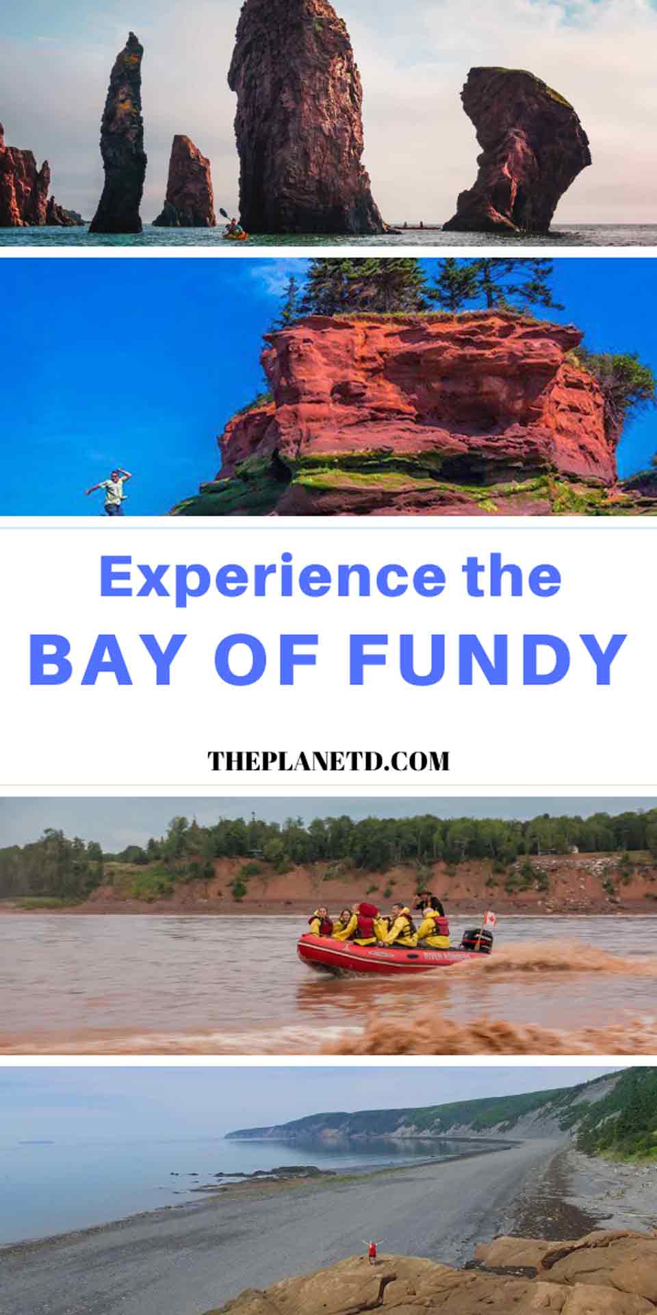 best bay of fundy adventures