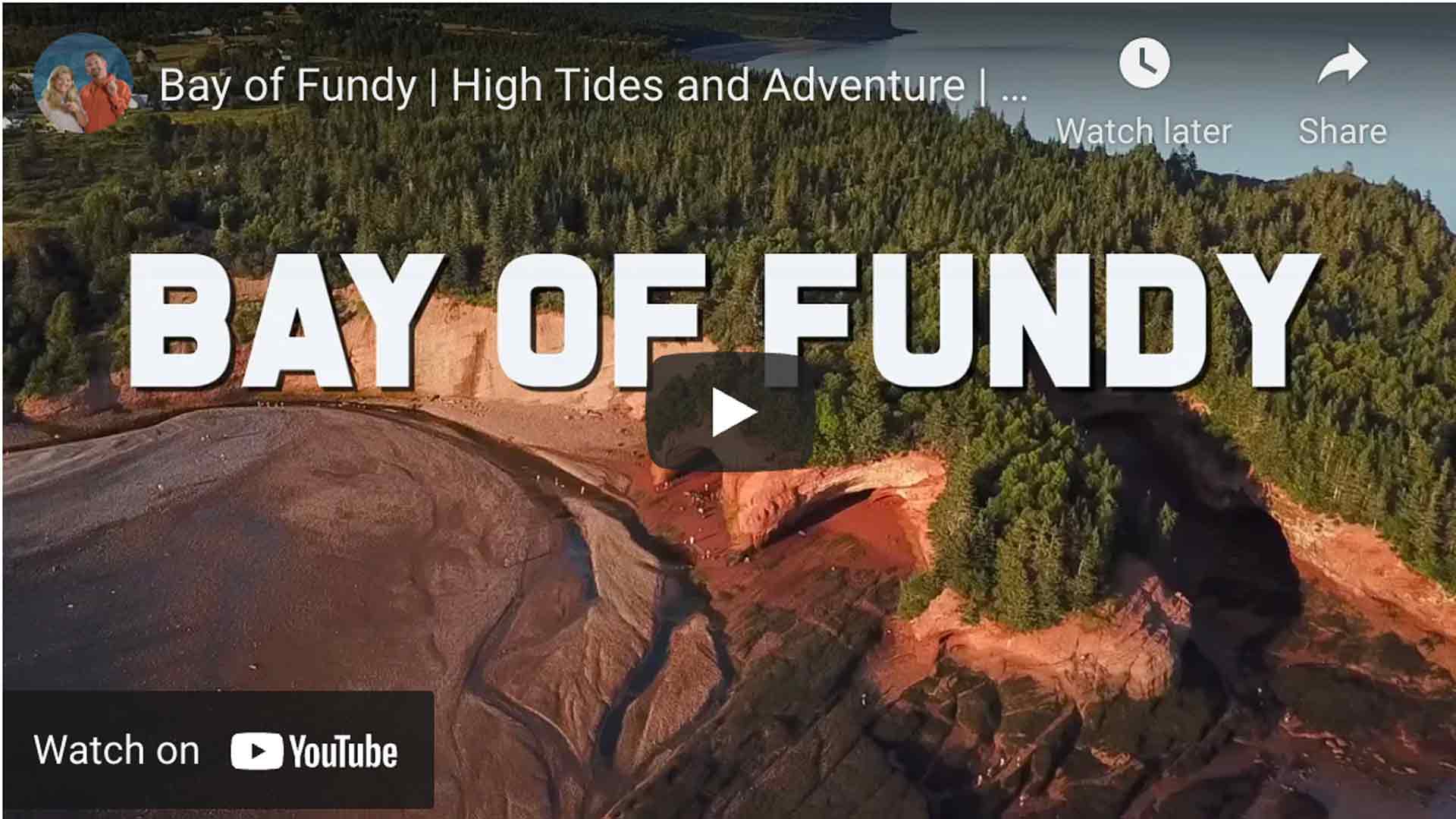 adventures on the bay of fundy video