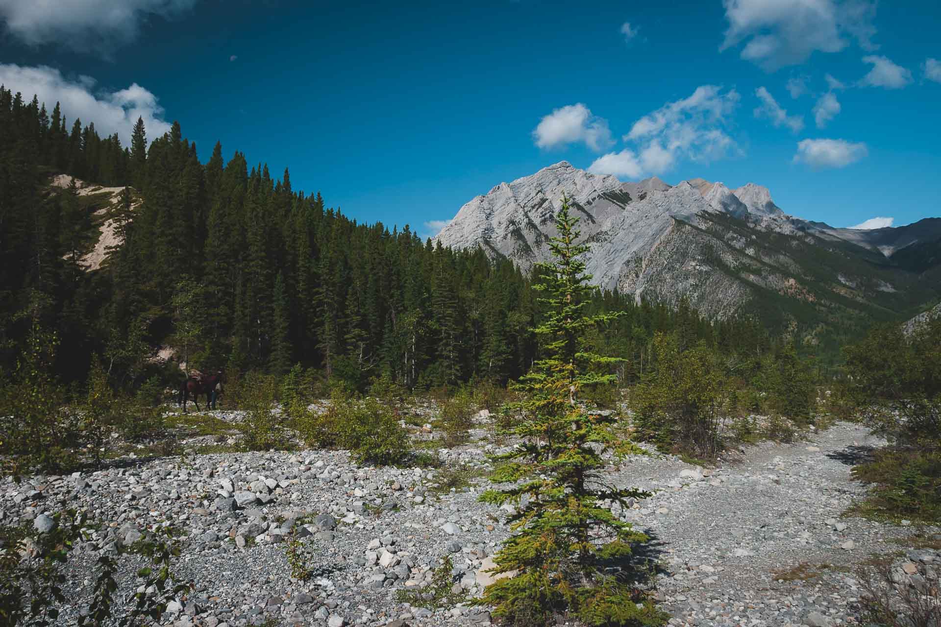 trails of canmore alberta