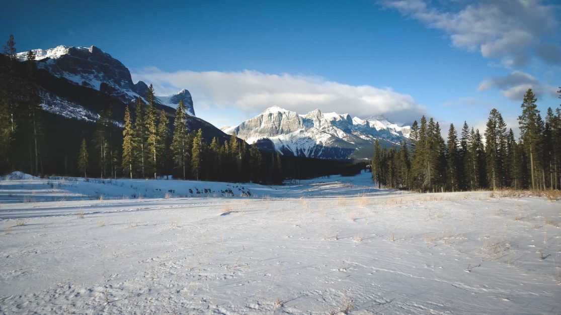 canmore views