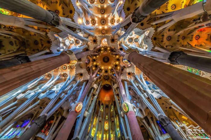 Awesome ceiling mimicking a forest canopy with massive pillars representing tree trunks. (Credits: Smithsonian)