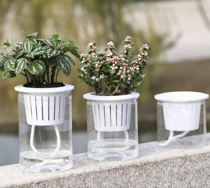 Clear Automatic Water Absorption Self Watering Hydroponic Flower Pot Planter