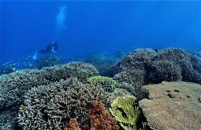 Sumbang Point dive site