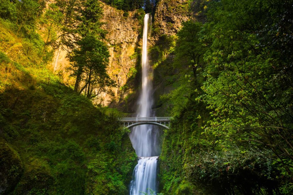 12 Best Hikes in Oregon That will Blow Your Mind