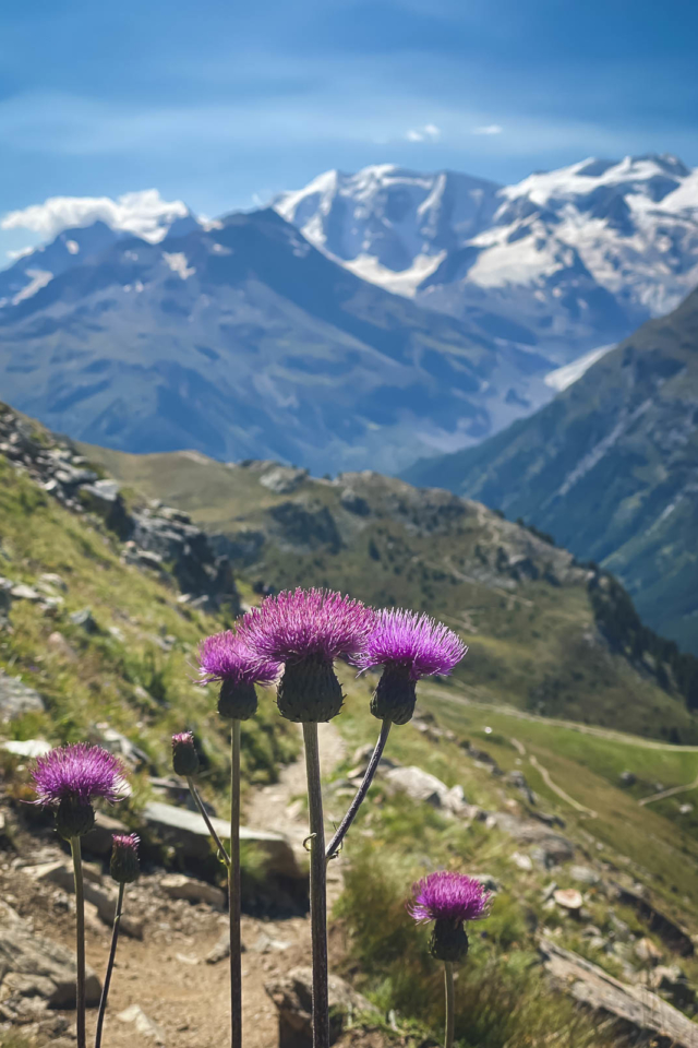 St Moritz Switzerland in Summer