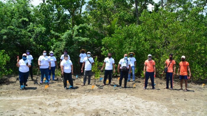 Landco’s mangrove tree planting in Batangas was participated by Laiya’s local community, barangay and municipal officials, representatives from the Department of Environment and Natural Resources (DENR) and volunteers from Landco executives and staff. 