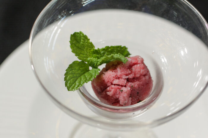 Hibiscus and Mint Sorbet