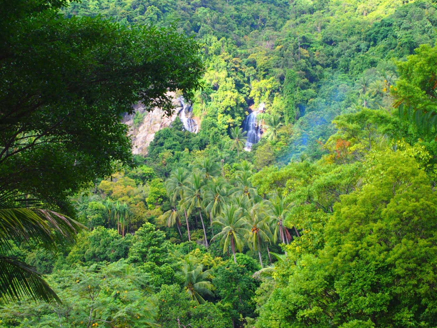 koh samui