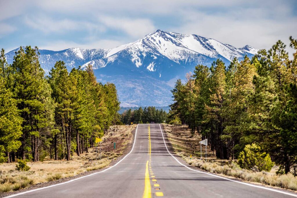 16 Cozy Cabins in Flagstaff, Arizona for Your Next Getaway