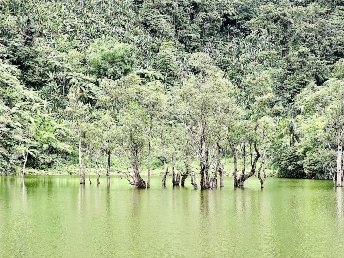 Kabalin-an Pond at the Twin Lakes of Balinsasayao