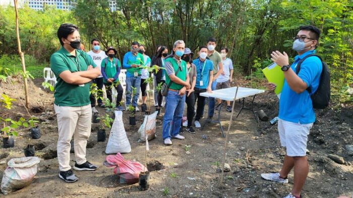 Philippine Environment Month tree planting activity