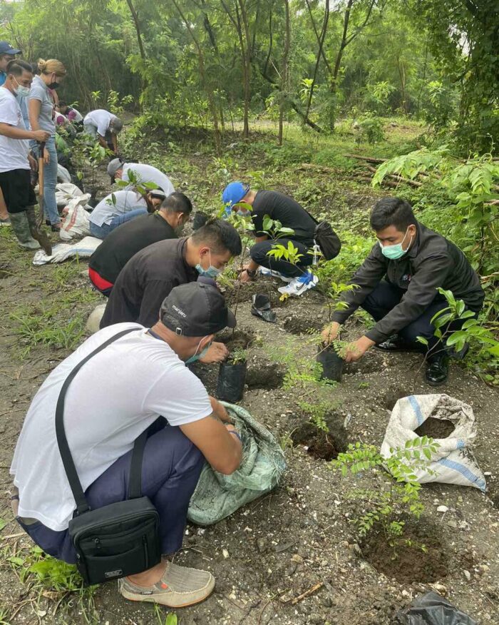 Nayong Pilipino organizes tree planting activity ahead of the World Enviromental Health Day