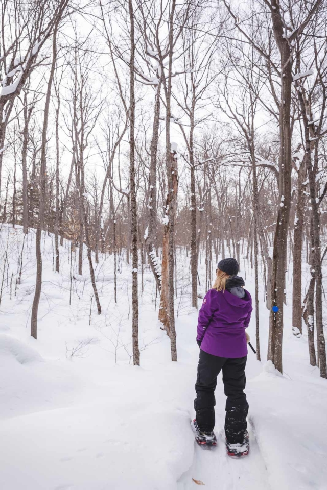 Things to do in Ontario Sowshoeing in Algonquin Park