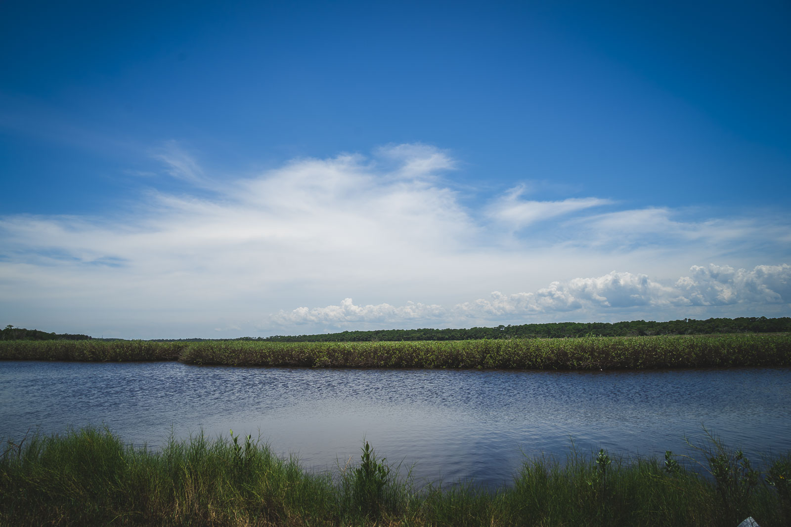 places to stay in florida nature