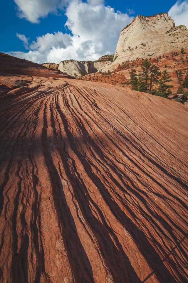 best hikes in zion national park utah accessible 
