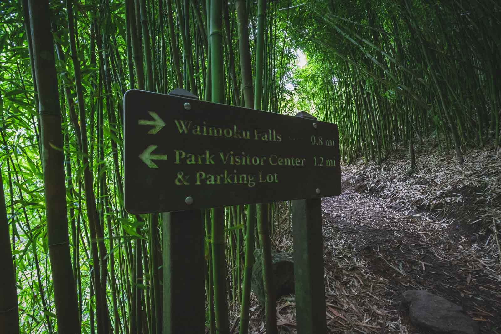 road to hana stops hiking trail parking lot