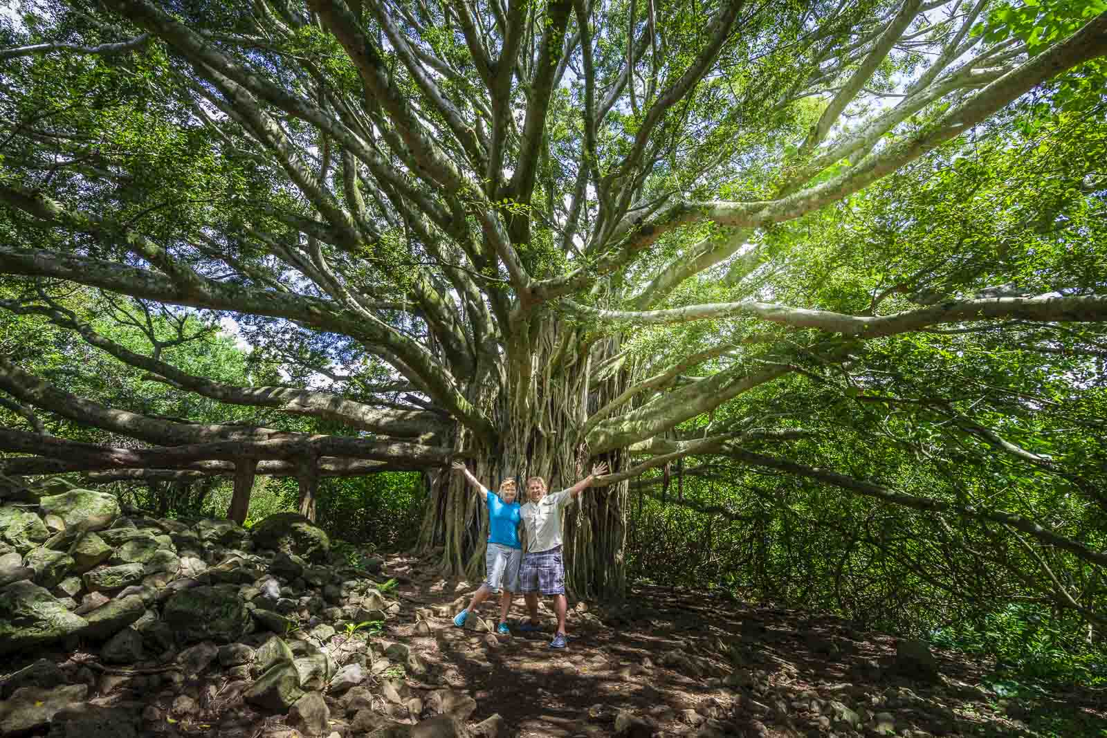 road to hana stops pipiwai trail