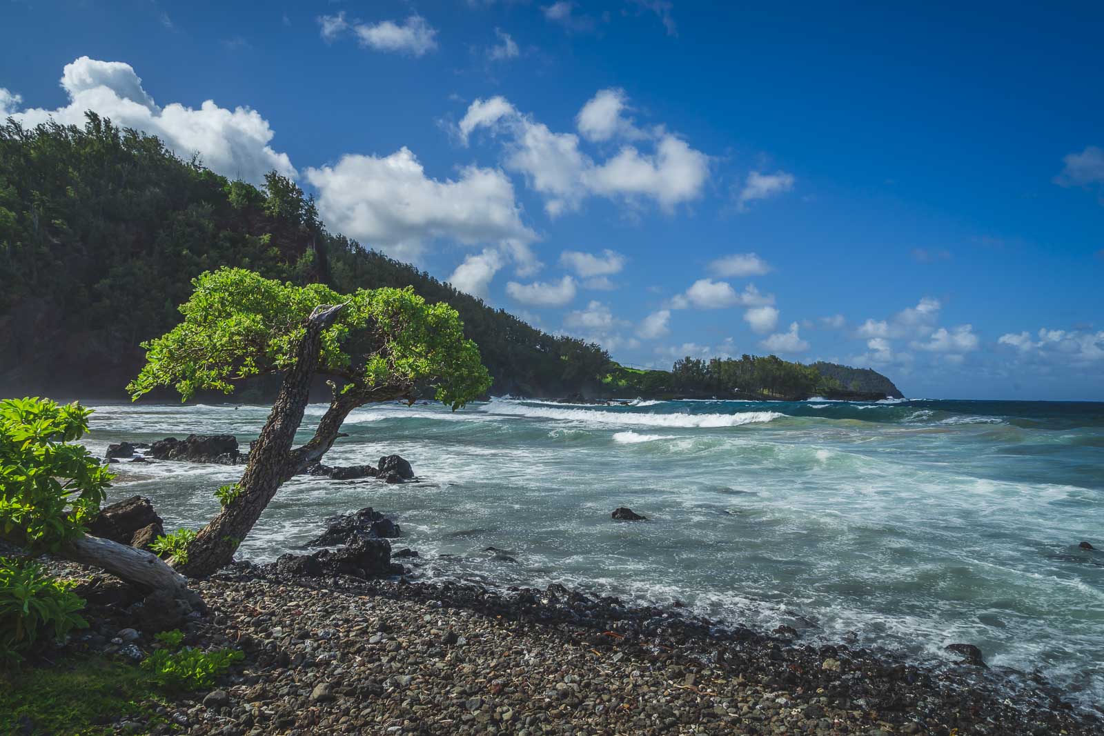 road to hana stops  Waianapanapa State Park Maui