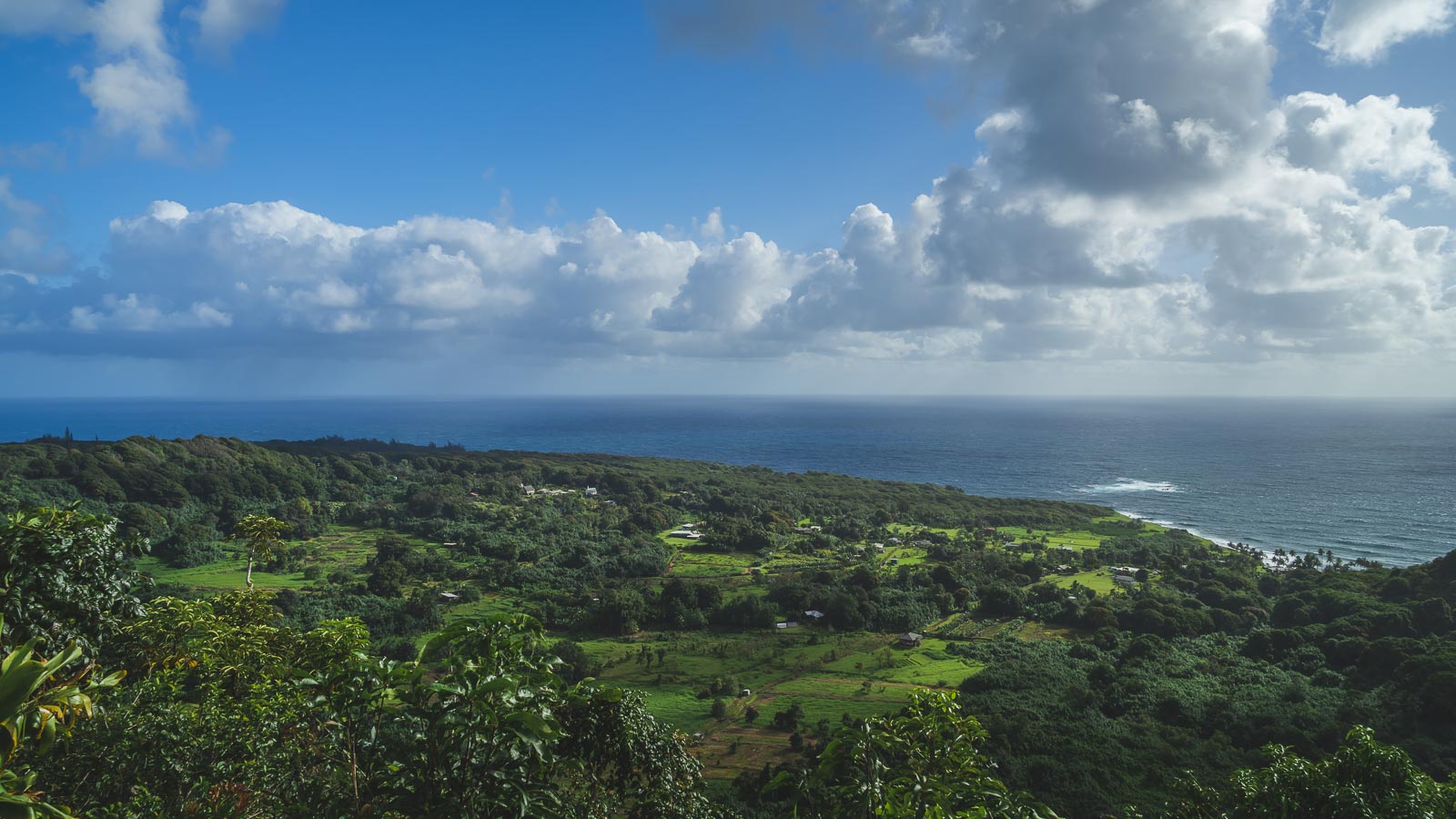 Road to Hana Scenery