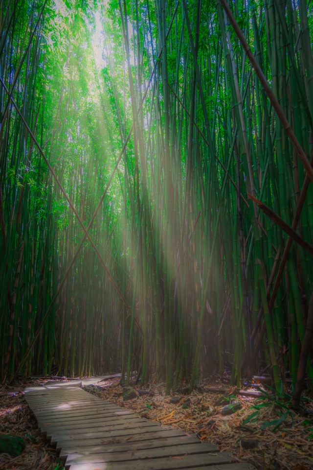 Road to Hana Guide Maui