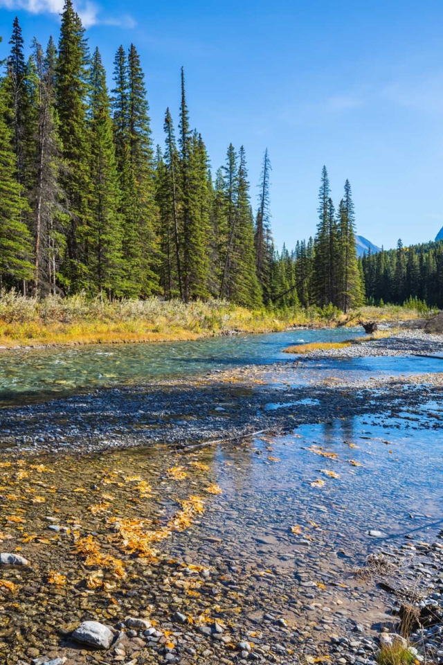 Best Banff Hikes Cascade Amphitheatre Trial