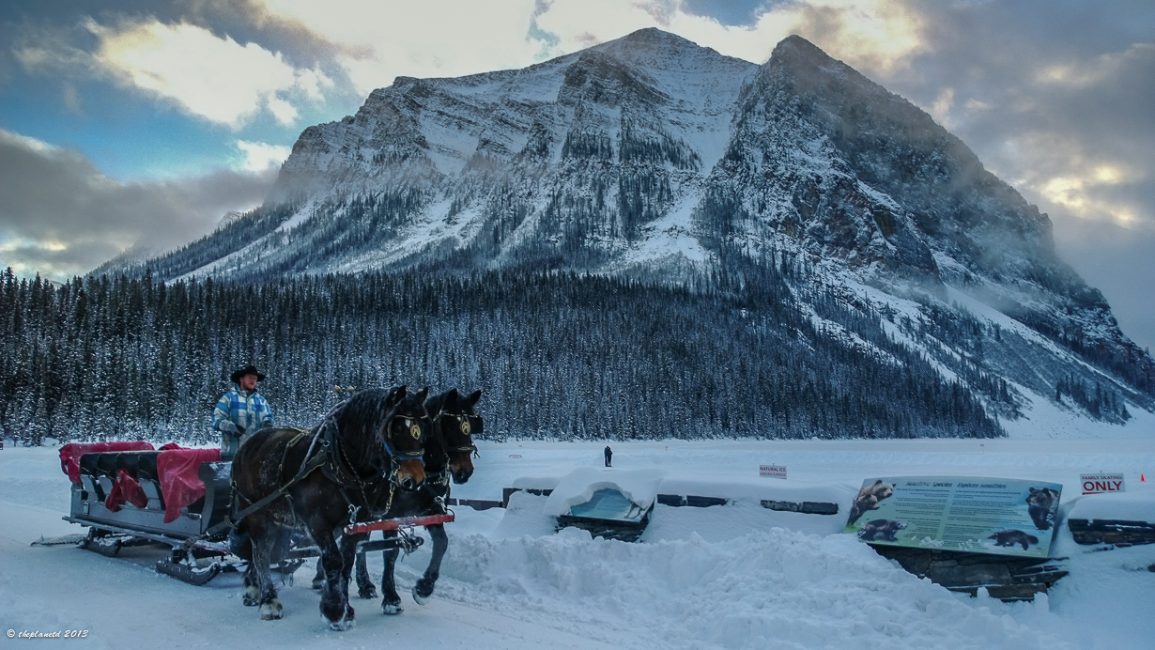 A Sleigh ride around Lake Louise.