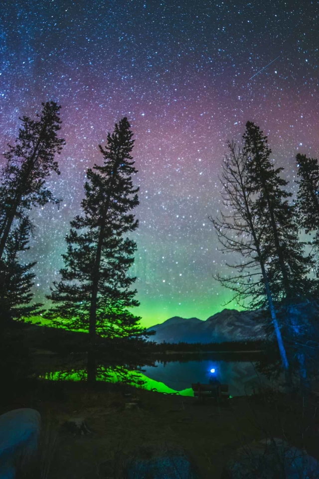 best things to do in jasper Canada Dark Sky Festival