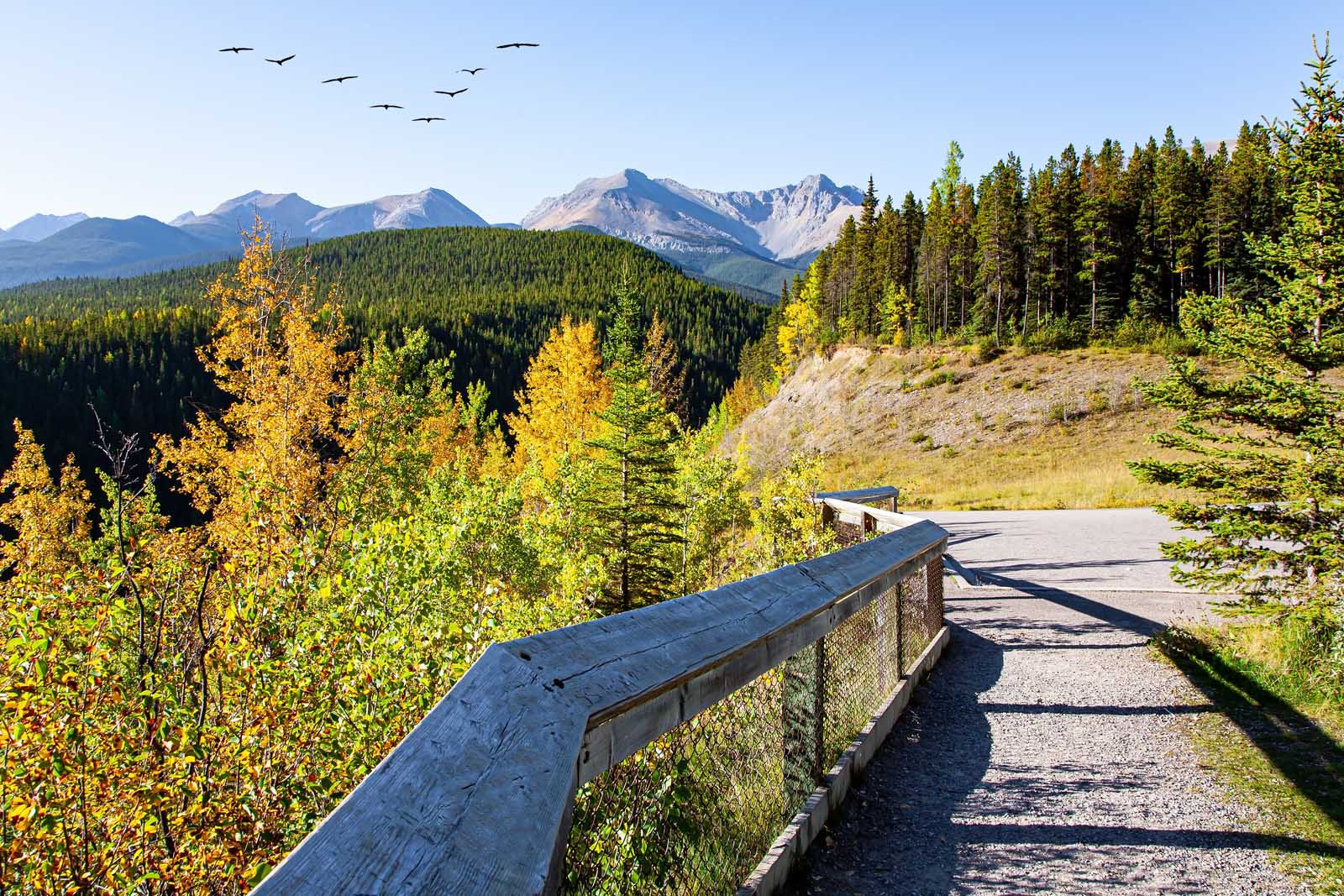 Fun things to do in Jasper National Park Miette Hot Springs