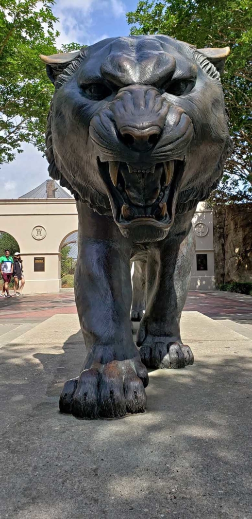 things to do in baton rouge mike the tiger