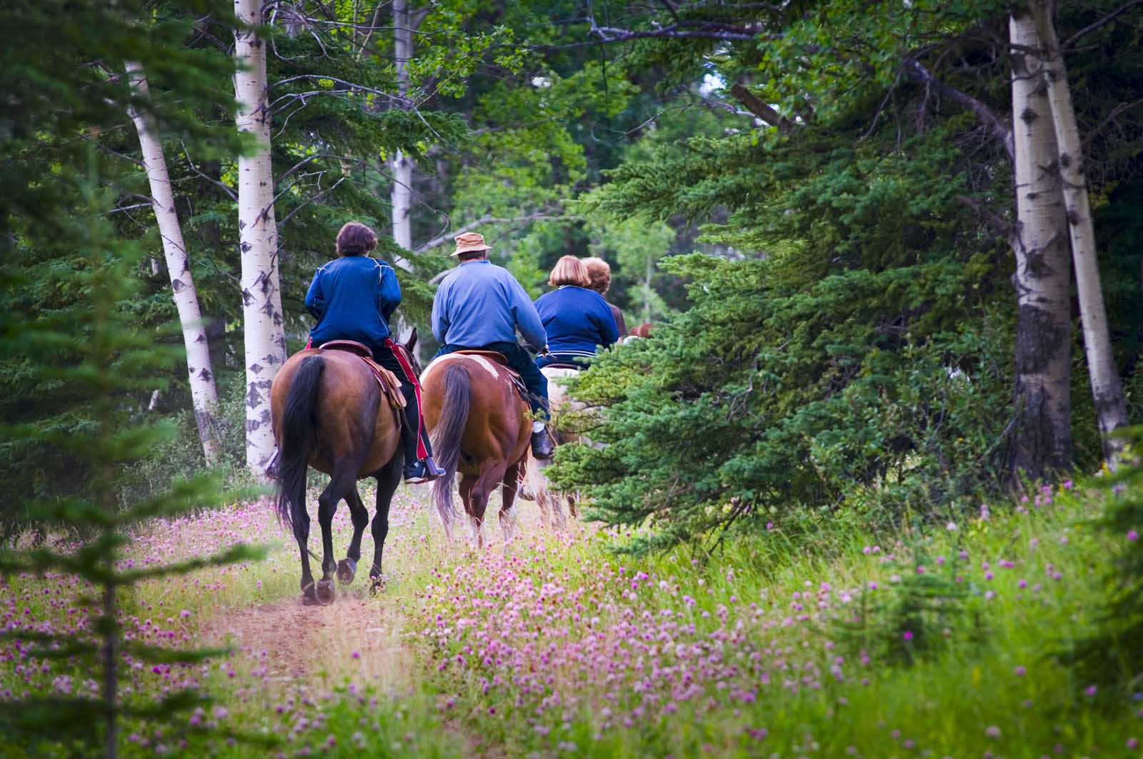 Horseback Riding in Westchester County NY