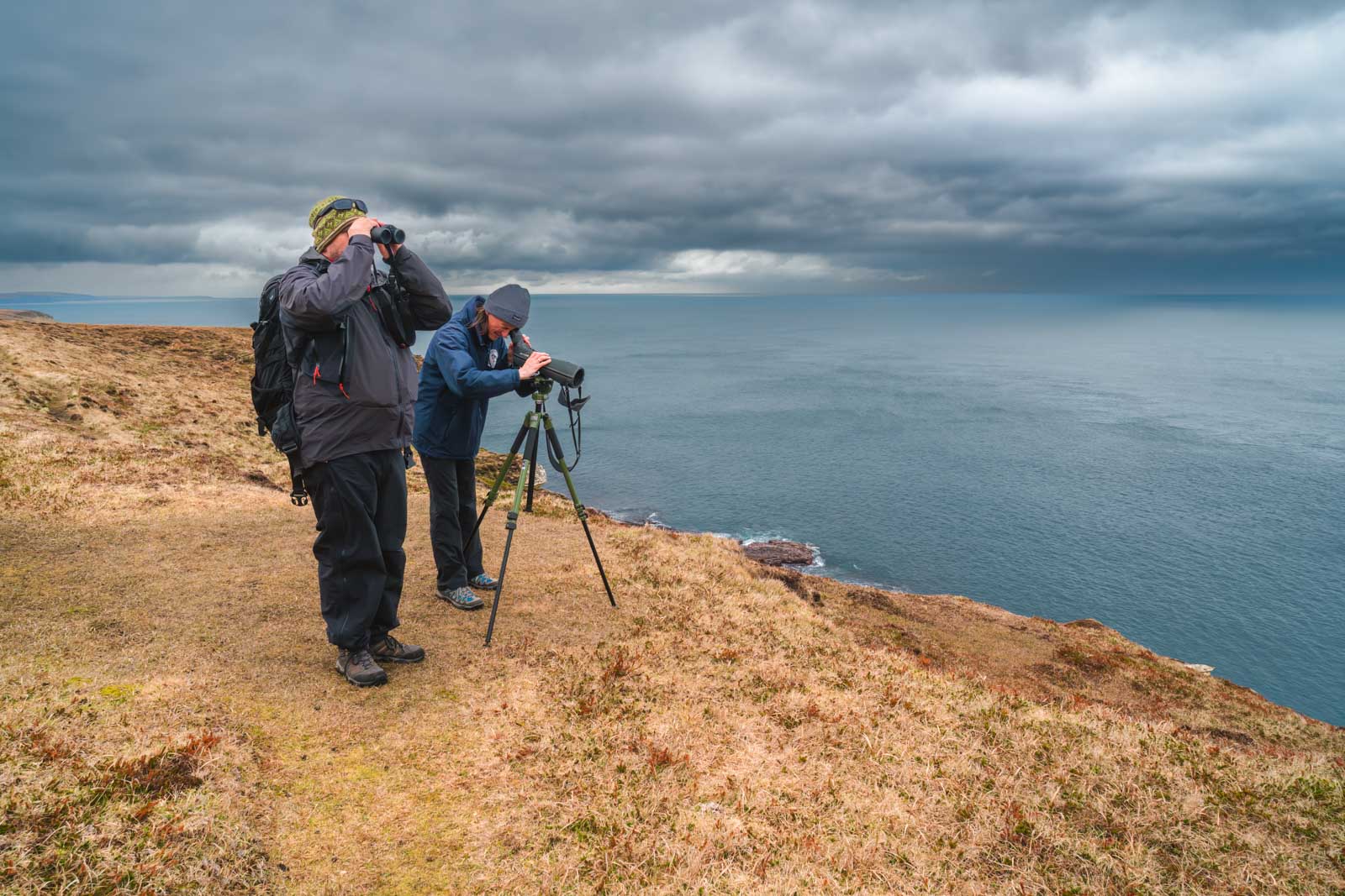 North Coast 500 caithness wildlife tours