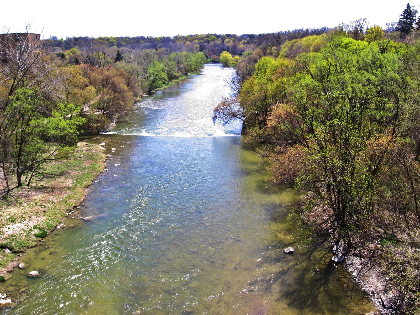 things to do in toronto humber river