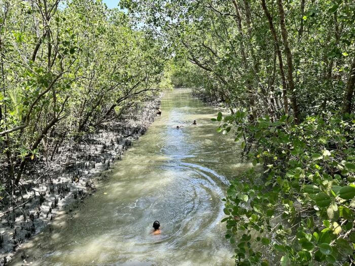 Silonay Mangrove Conservation Ecopark in Calapan