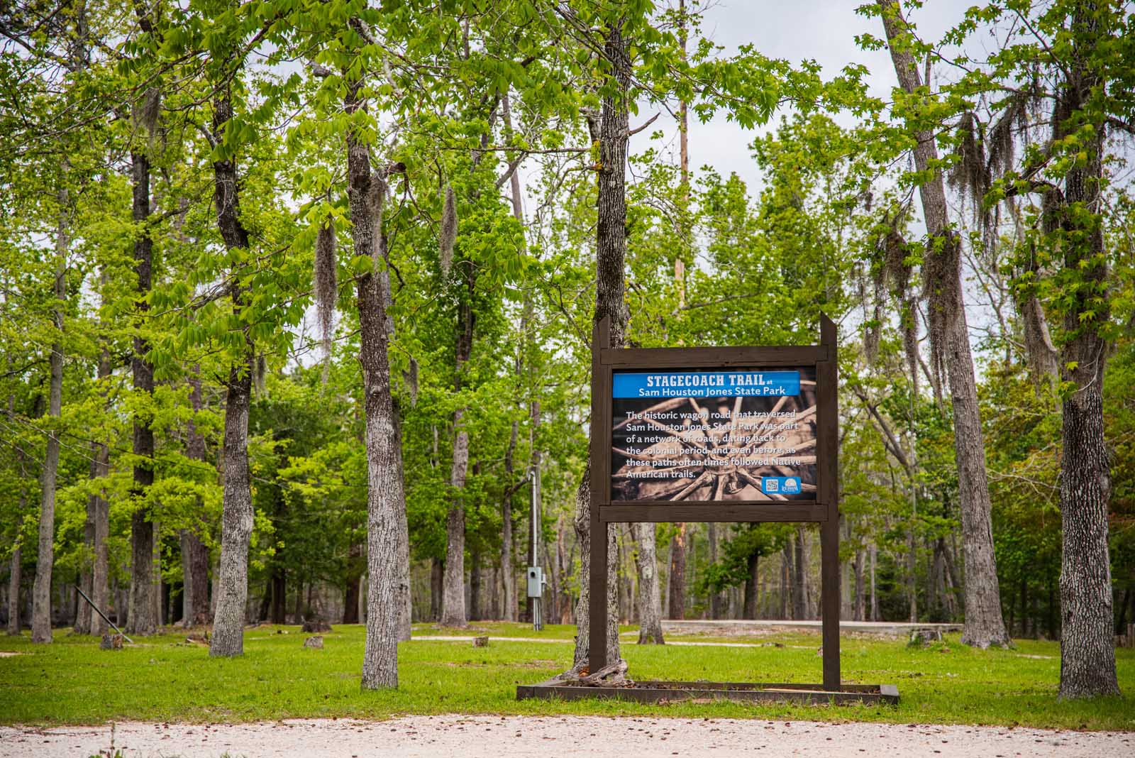 Best things to do in Lake Charles LA Sam Houston Jones State Park