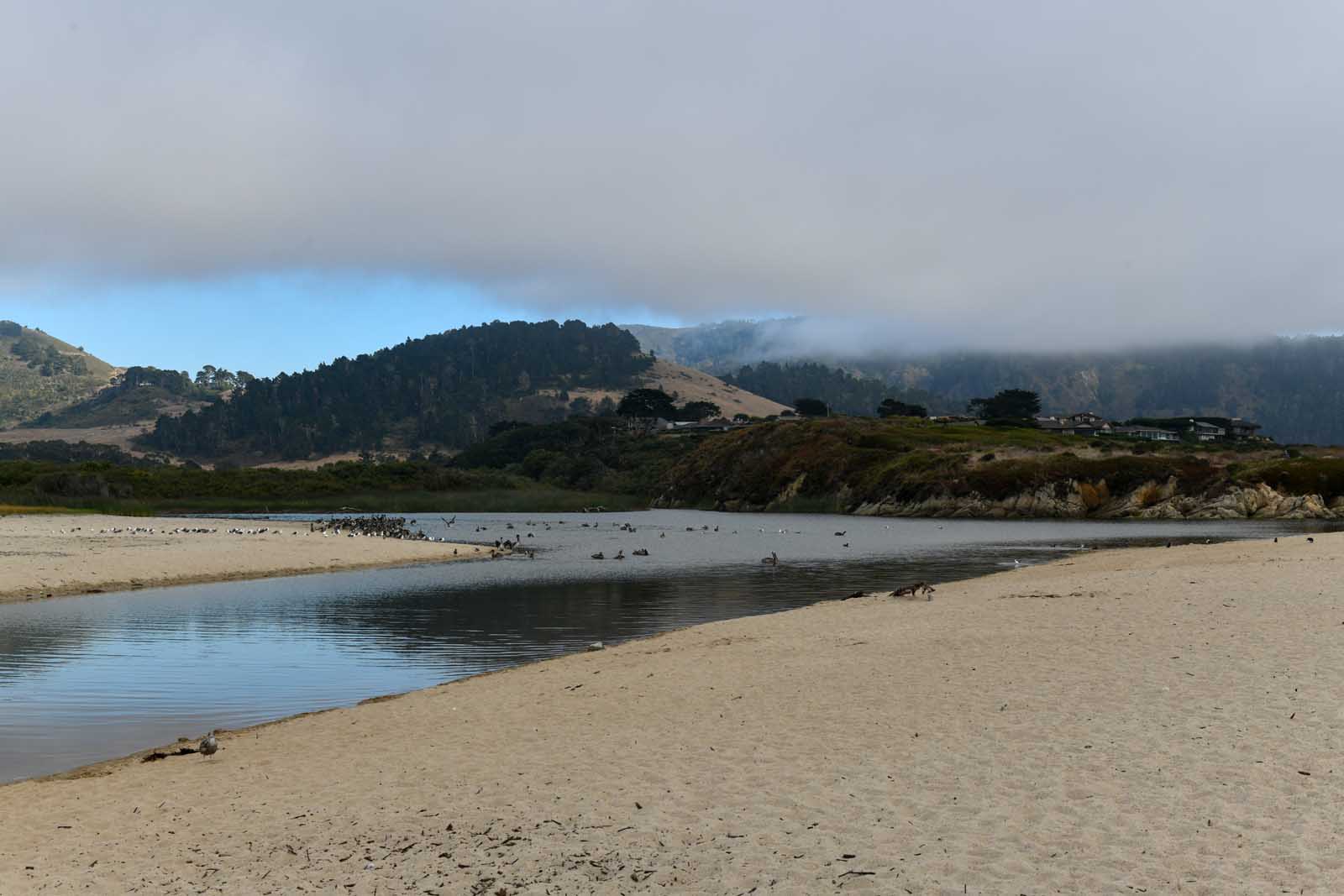 carmel river state beach carmel california things to do