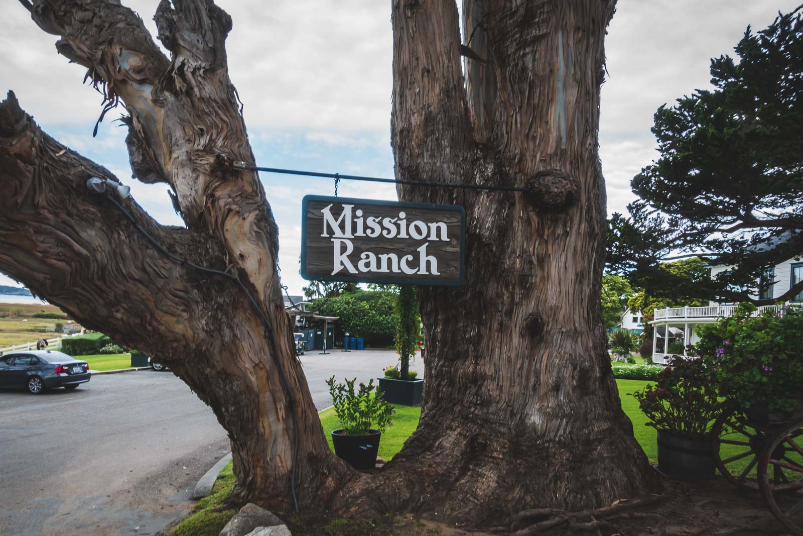 Mission Ranch things to do in Carmel By The Sea California