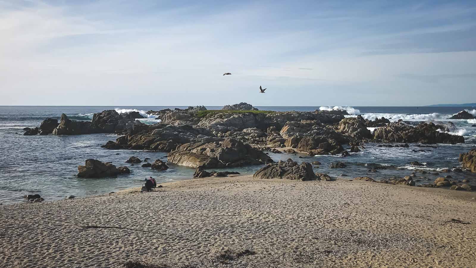 Point Lobos state natural reserve things to do in Carmel By The Sea California