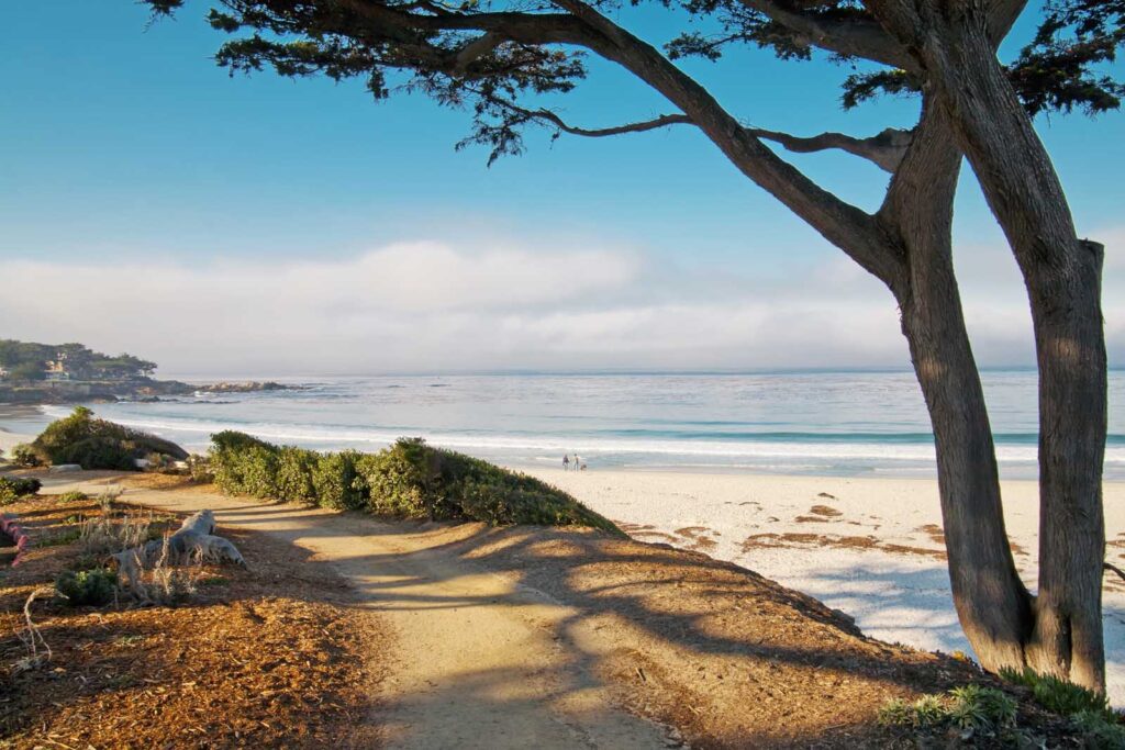 19 Best Things to Do in Carmel by the Sea, California