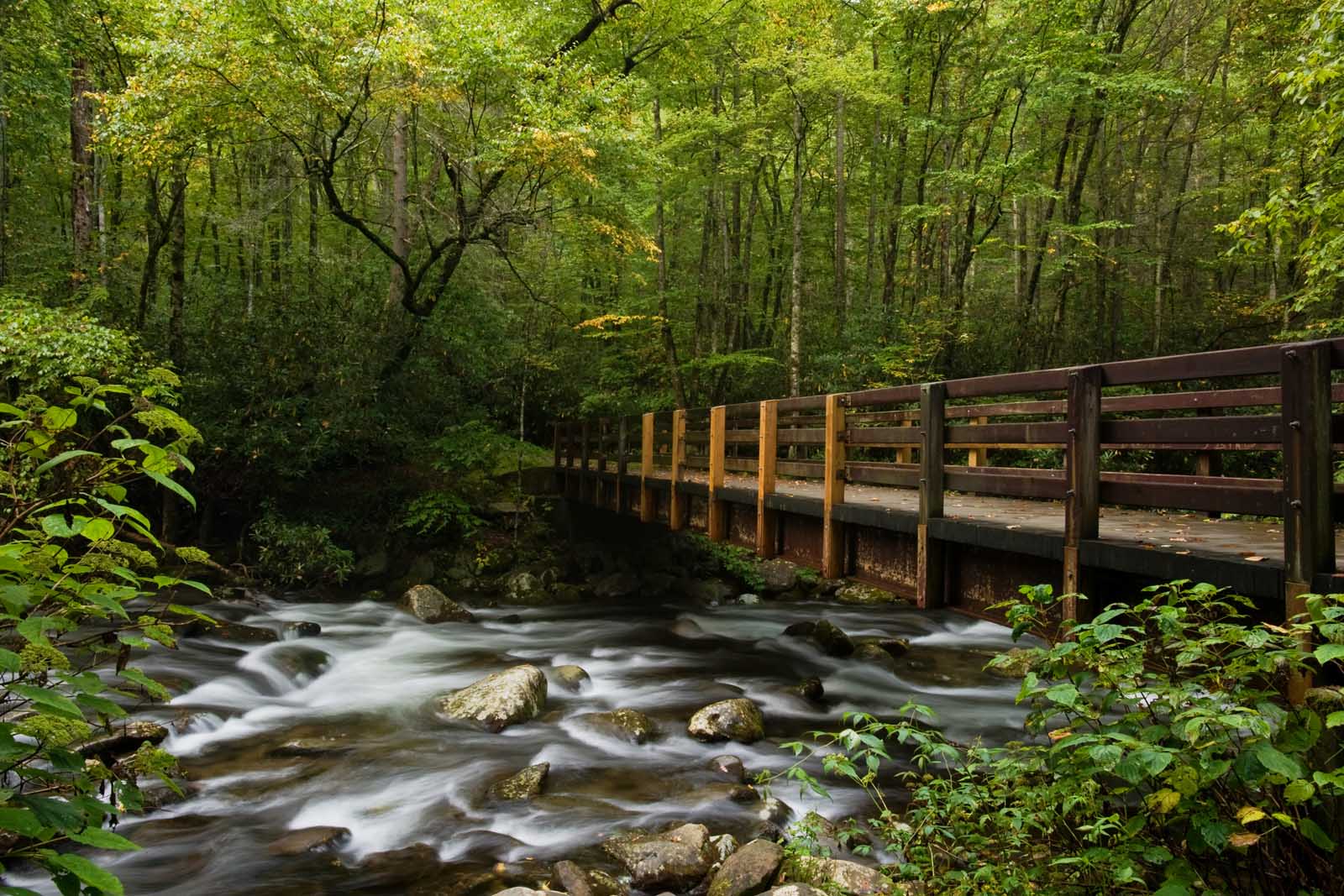 Top Hikes Near Nashville Tennessee