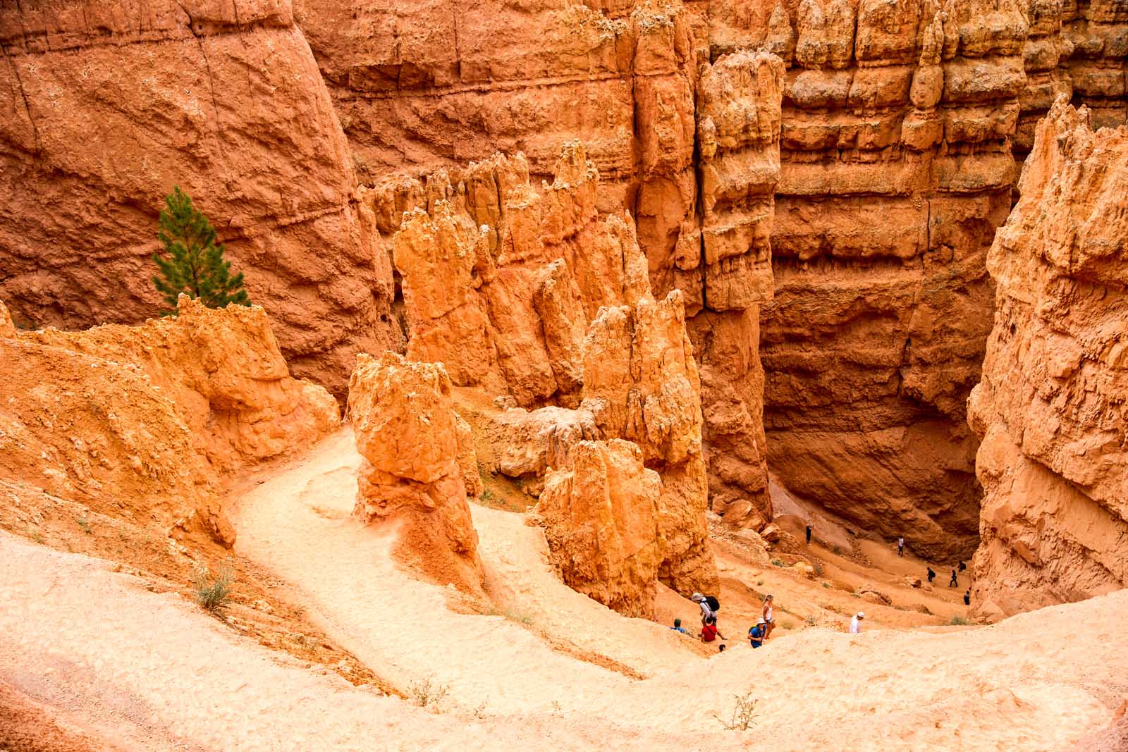 11 Beautiful Hikes in Bryce Canyon National Park in 2023 - TravellyClub