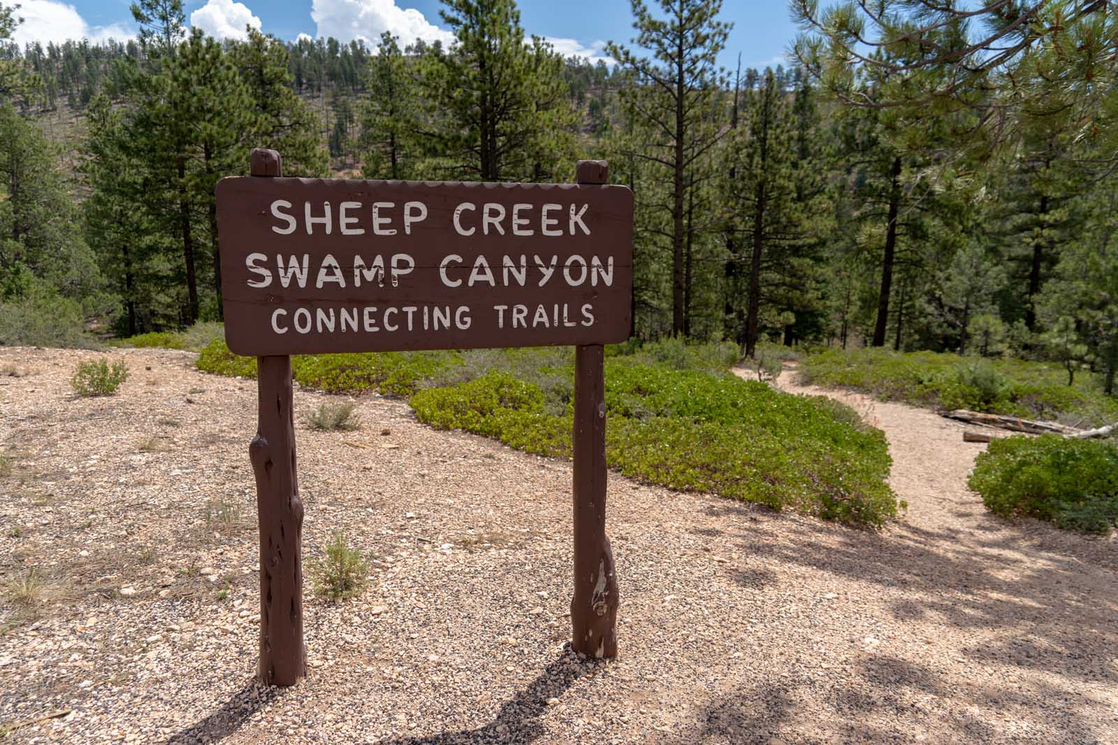 Best Hikes in Bryce Canyon Sheeps Creek Swamp Canyon