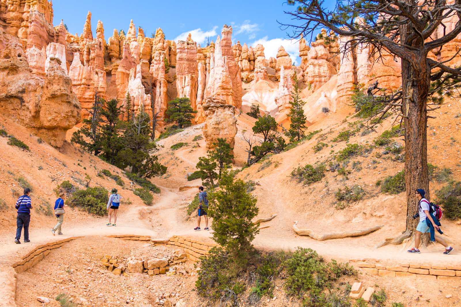 Fun Bryce Canyon Hikes