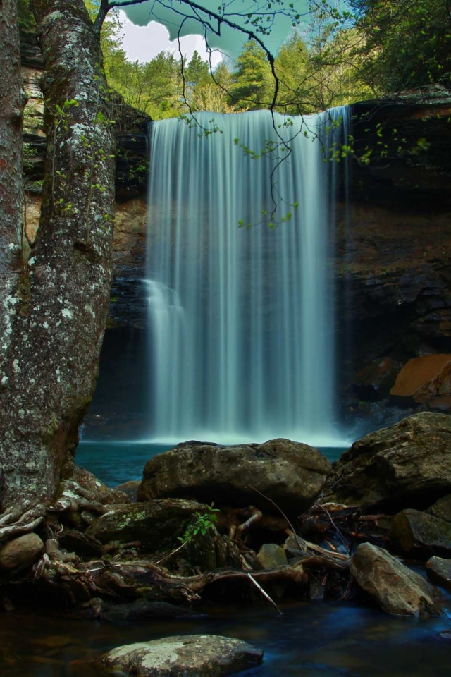 Best Hikes near Nashville Greeter Falls Loop