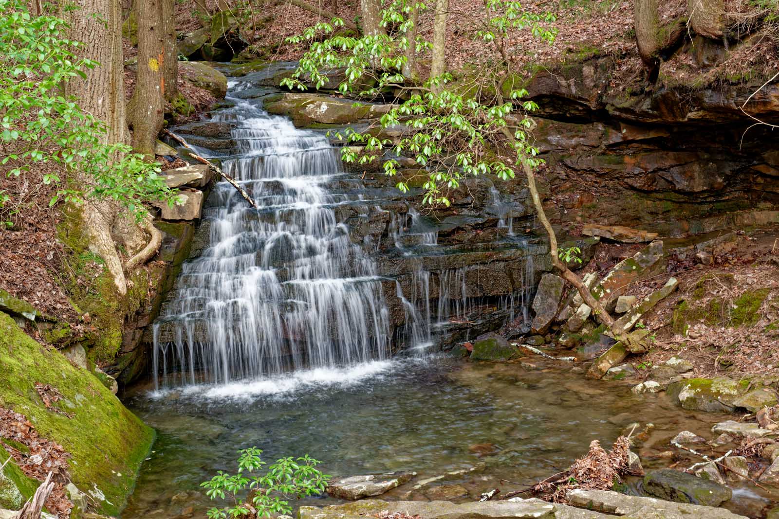 Best Hikes near Nashville Virgin Falls