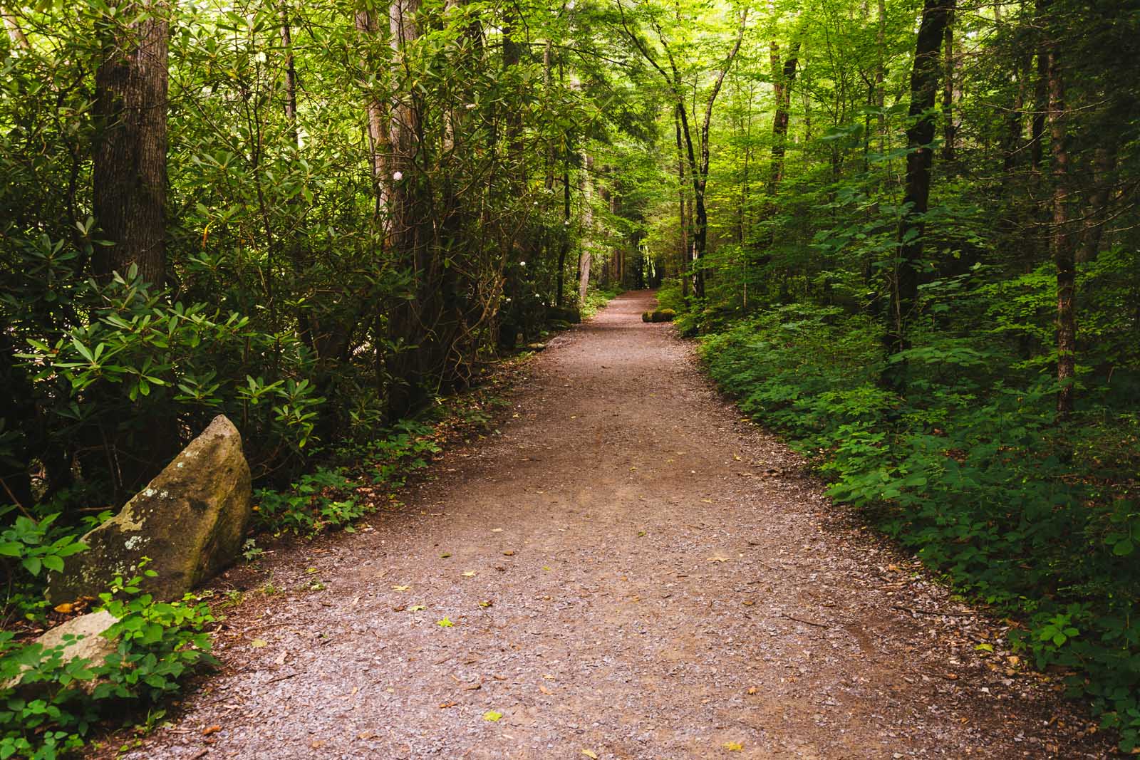 Best Hikes near Nashville Mossy Ridge Trail