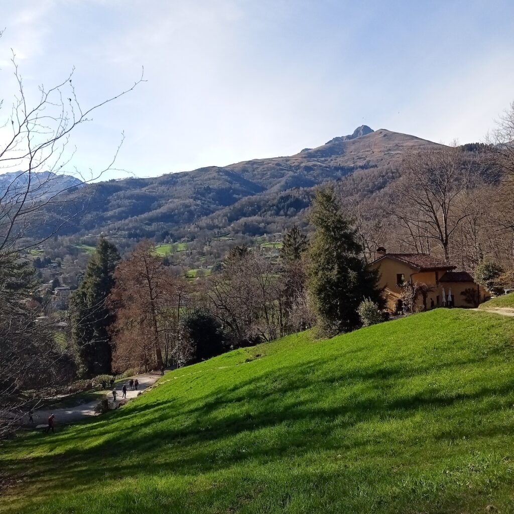 9 Benefits of Visiting Parco Burcina in Piedmont, Italy