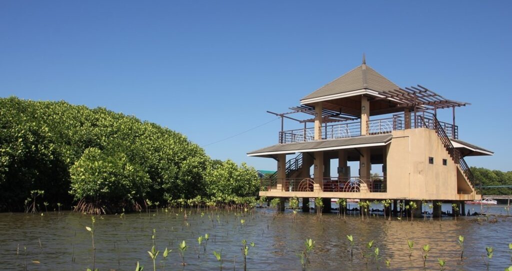 Mangrove Propagation and Information Center in Alaminos City, Pangasinan