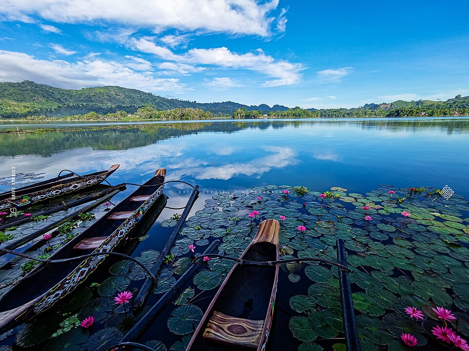 Lotus Flower Garden by Herbertkikoy via Wikimedia cc