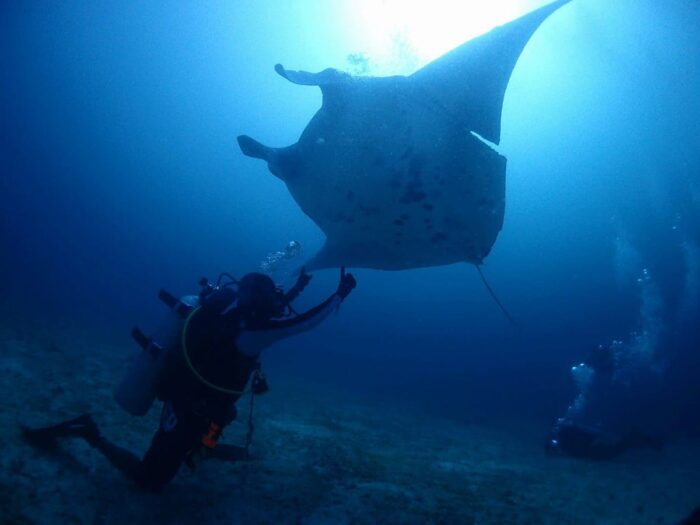 Diving at Manta Bowl photo via Ticao Island Resort FB page