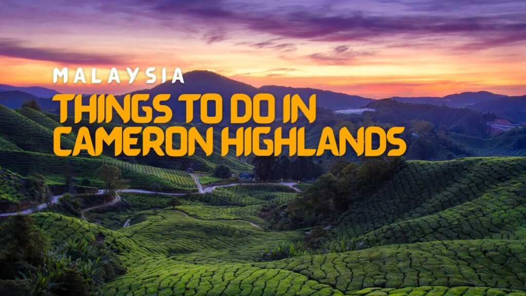 Things to do in Cameron Highlands